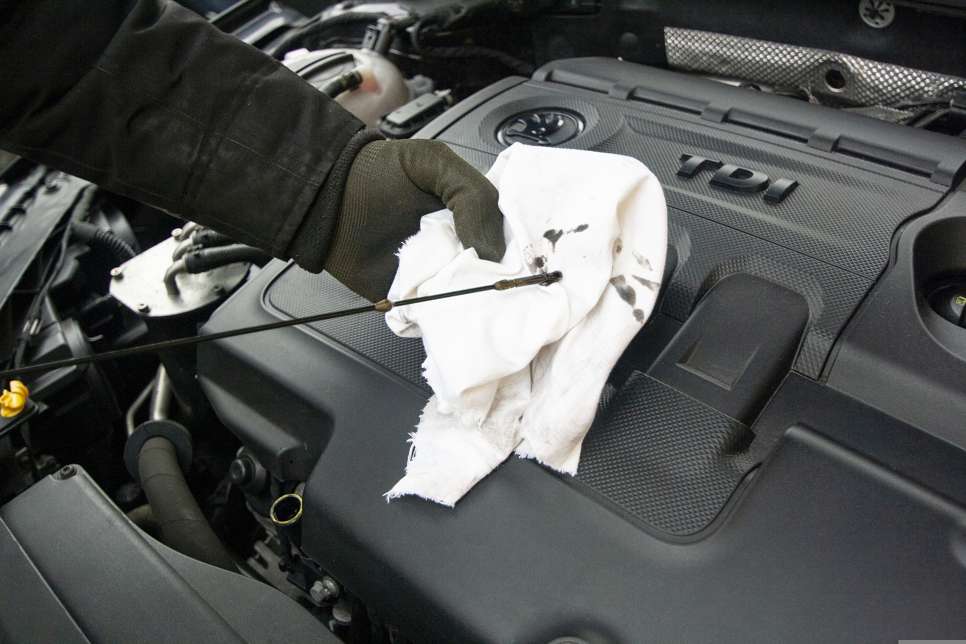 Put-oil-in-the-oil-filter(oil Change)